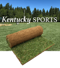 Gazon Kentucky Sport - Gazon à rabais