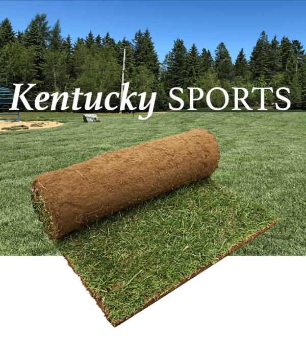 kentucky sports turf roll peat