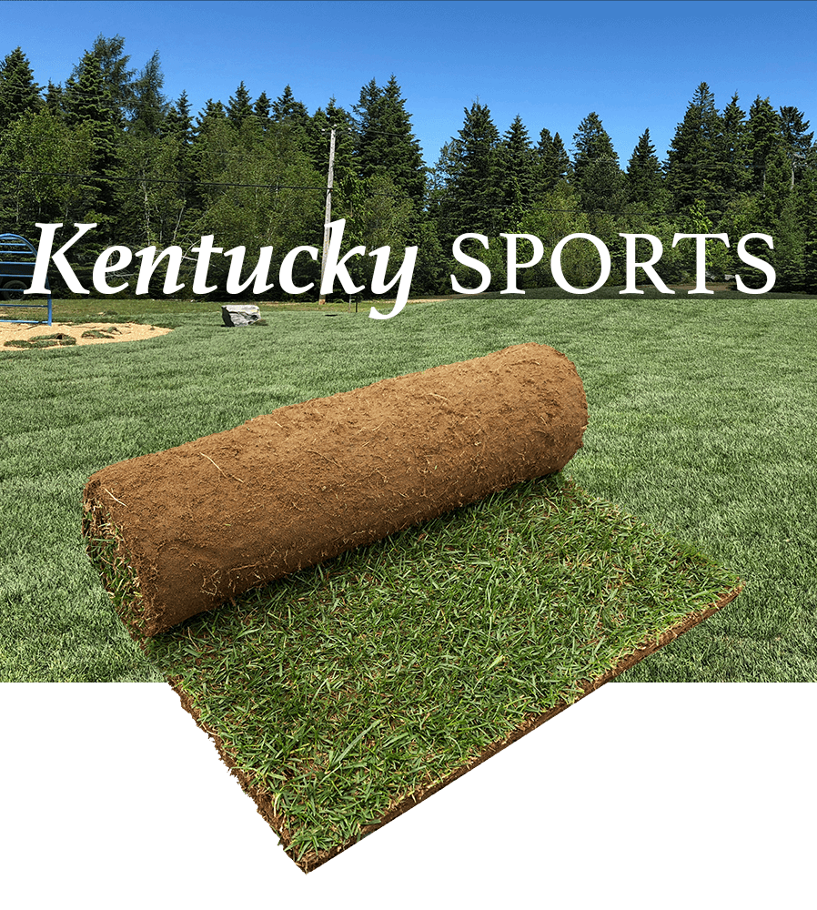 kentucky sports turf peat roll