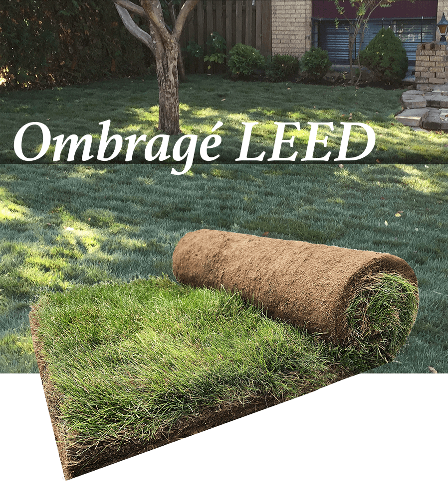LEED Shaded Lawn Peat Roll